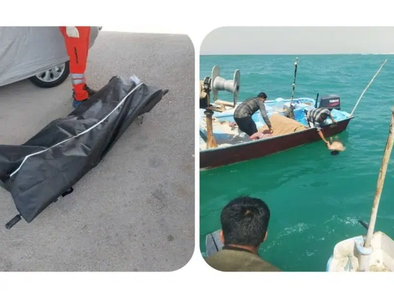 یکی از کارکنان پتروشیمی بوشهر در ساحل شیرینو جان باخت