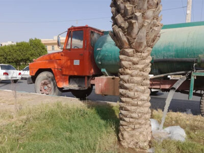 حفظ فضای سبز عسلویه با تامین آب غیرشرب توسط شرکت مبین انرژی